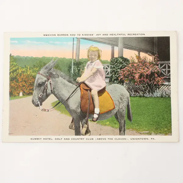 Vintage Summit Hotel Uniontown PA Girl Riding Mexican Burro Litho Postcard