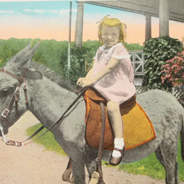 Vintage Summit Hotel Uniontown PA Girl Riding Mexican Burro Litho Postcard