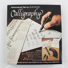 Sheaffer NoNonsense Calligraphy Fountain Pen Set with  Nibs & Ink Cartridges