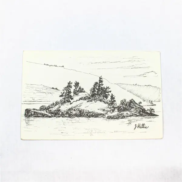 Vintage Chicken Charlie's Island Oregon Jeanne Hillis Artist Sketch Postcard