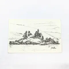 Vintage Chicken Charlie's Island Oregon Jeanne Hillis Artist Sketch Postcard