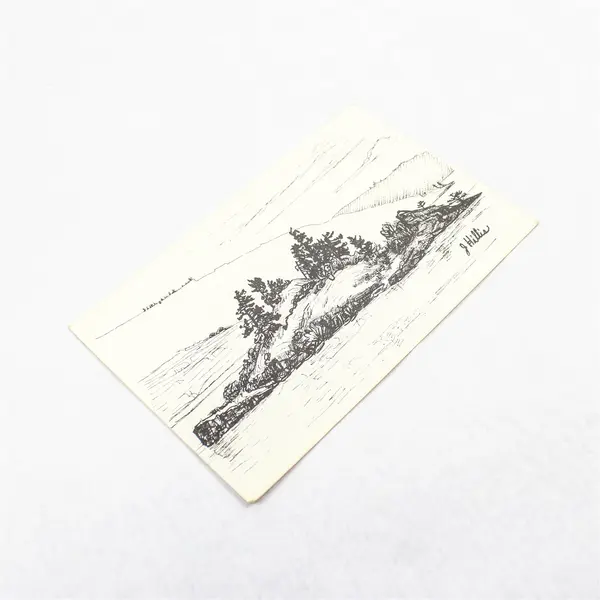 Vintage Chicken Charlie's Island Oregon Jeanne Hillis Artist Sketch Postcard