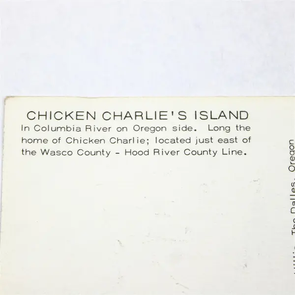 Vintage Chicken Charlie's Island Oregon Jeanne Hillis Artist Sketch Postcard