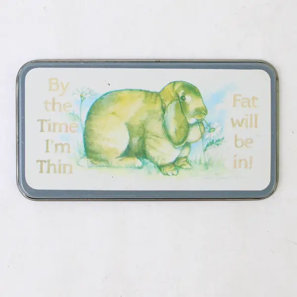 Lot of 5 Refrigerator Magnets - Fairy, Rabbit & Floral Kitchen Collectible