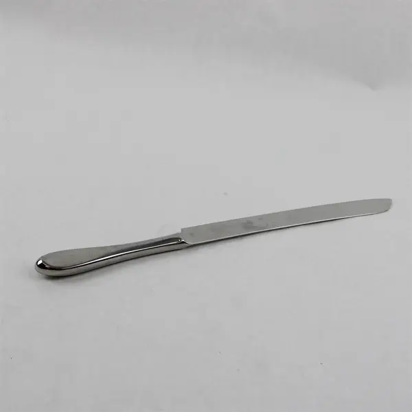 Dansk Statement (Stainless) Pattern Flatware Wedding Cake Knife Blade 13" Long