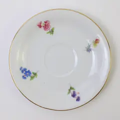 Vintage Johann Seltmann Bavaria Porcelain Saucer Floral Gold Rim Germany