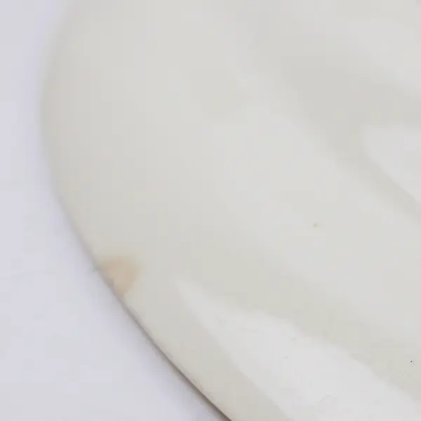 Eggshell Nautilus Oval Serving Tray Pink Rose Motif Gold Trim 13.5 in
