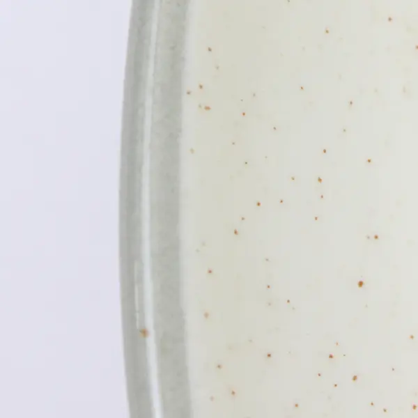 Harkerware Stoneware Plate 10" Lightly Freckled Beige