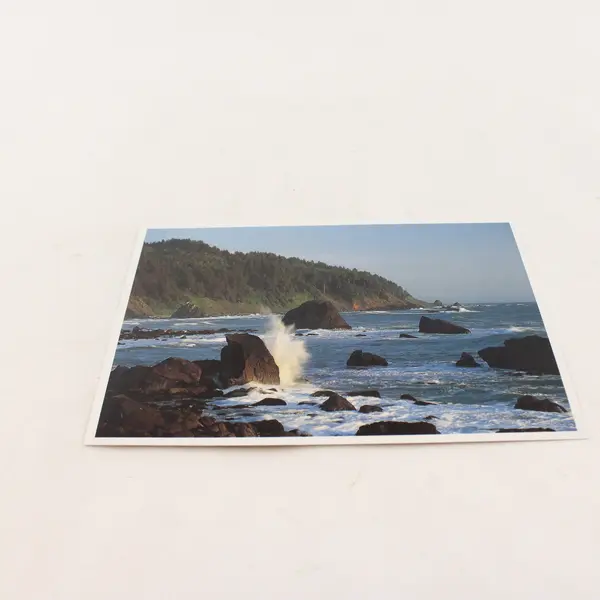 Lot Of 3 Vintage Redwood National Park California Scenic Postcards Coastline Elk