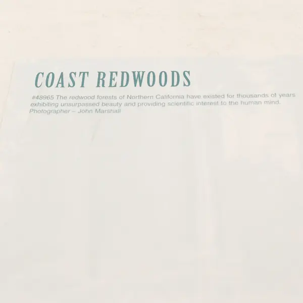Lot Of 3 Vintage Redwood National Park California Scenic Postcards Coastline Elk