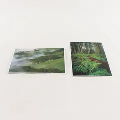 Lot Of 2 Vintage Redwood National Park California Scenic Postcards