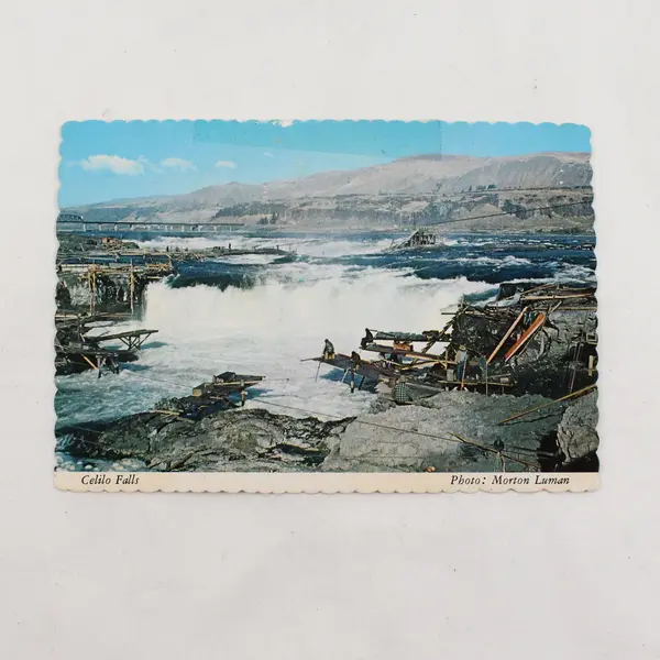 Lot Of 3 Vintage Oregon Postcards 1970s 1980s Jet Boat Black Butte Celilo Falls 