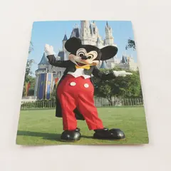 Vintage 1989 Walt Disney World Mickey Mouse Welcome As Can Be Postcard