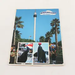 Vintage 1986 Marineland Sky Tower Rancho Palos Verdes Postcard