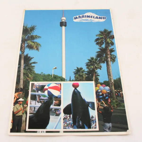 Vintage 1986 Marineland Sky Tower Rancho Palos Verdes Postcard