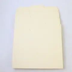 Lot of 50 Beige Letter Size File Folders Office Supplies