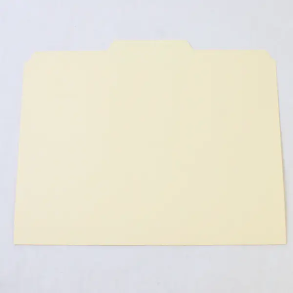 Lot of 50 Beige Letter Size File Folders Office Supplies