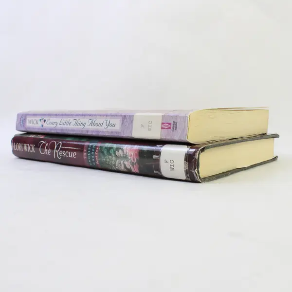 Lot of 2 Lori Wick Books: Every Little Thing About You; The Rescue 