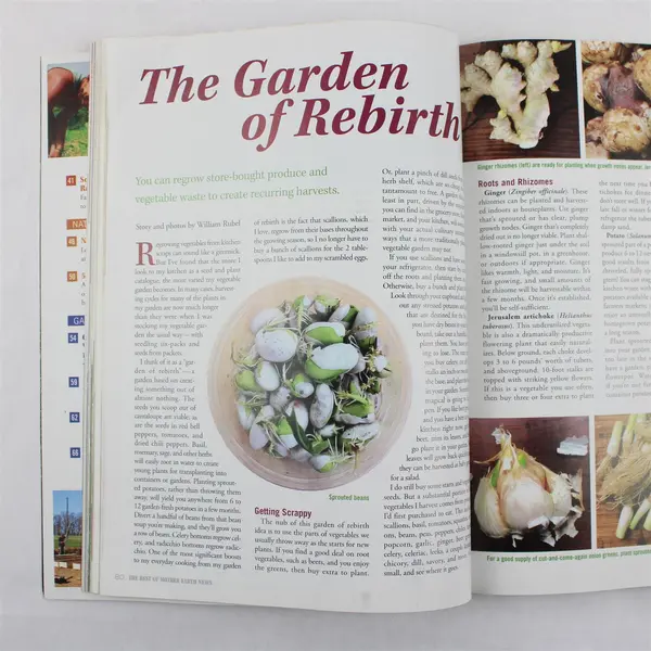 The Best of Mother Earth News Special Double Issue Winter 2020 Good 
