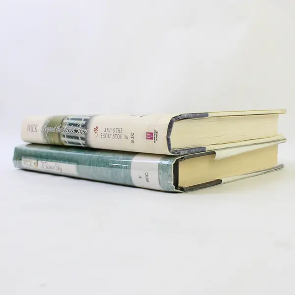 Lot of 2 Lori Wick Hardcover Books: Beyond the Picket Fence & A Texas Sky