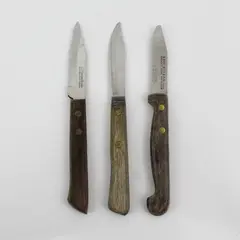 Lot of 3 Paring Knives With Serrated Edge Blades Wooden Handles 6.5" Long