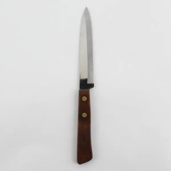 Robinson Stainless Steel Serrated Kitchen Knife 9" Long Wooden Handle Good