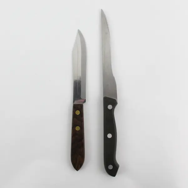 Lot of 2 Straight Edge Unbranded Kitchen Knives With Handles 8" & 9.75"