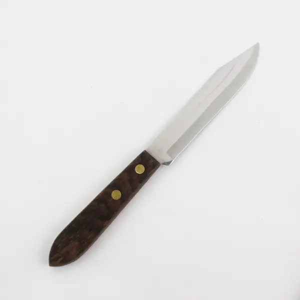 Lot of 2 Straight Edge Unbranded Kitchen Knives With Handles 8" & 9.75"