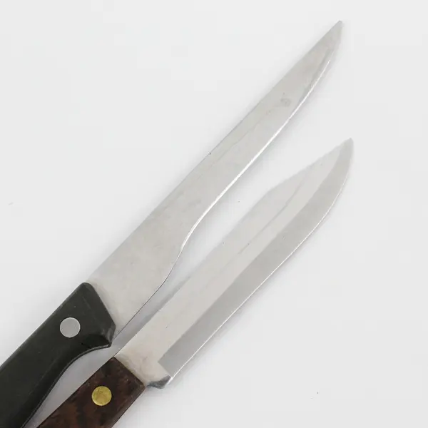 Lot of 2 Straight Edge Unbranded Kitchen Knives With Handles 8" & 9.75"