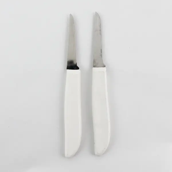 Lot of 2 SS Kitchen Paring Knives White Handle 6.25" 1 Pampered Chef 1 Unbranded