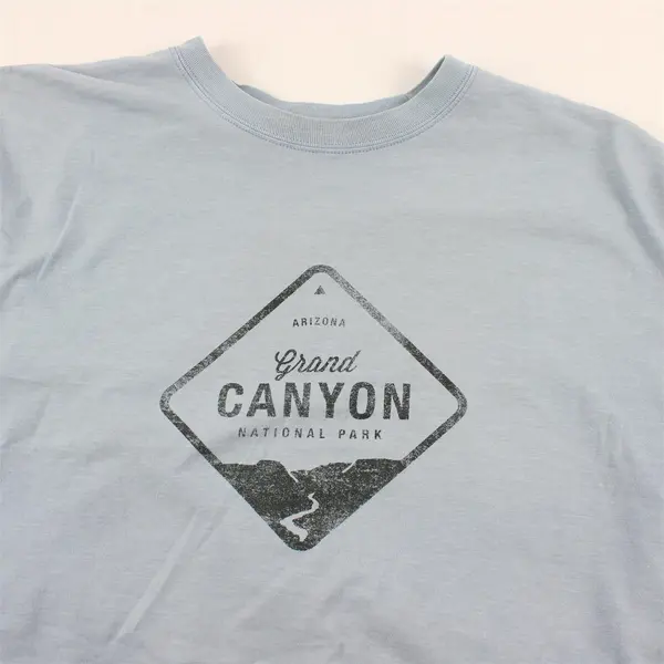 The North Face Grand Canyon Printed Blue Short Sleeve Classic Fit T-Shirt Mens L