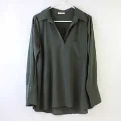 Pleione Sheer Army Green V-Neck Long-Sleeved Blouse Women's Large