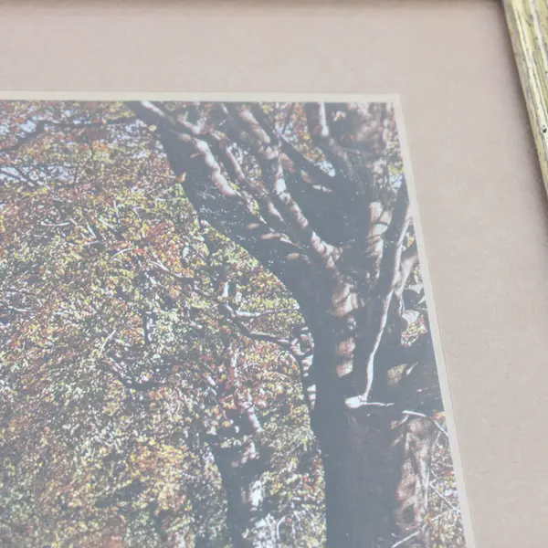 Gold-Tone Framed Autumn Pathway Print 9x11 Wall Art Used