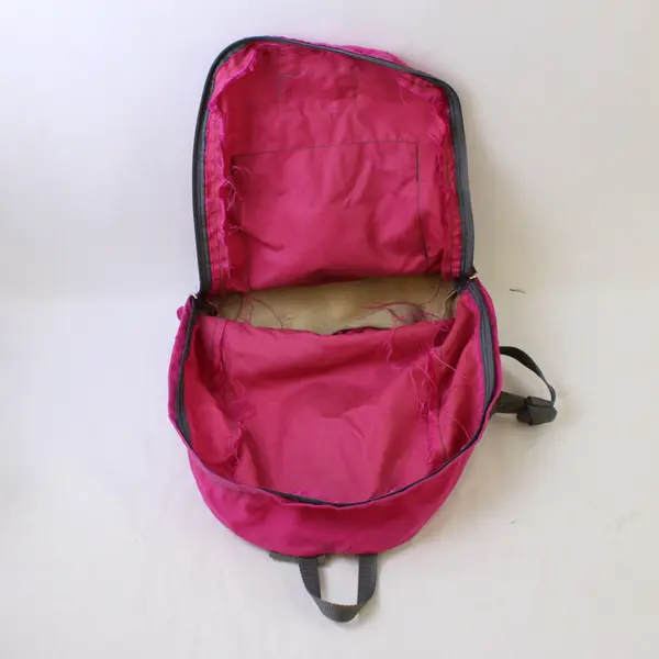JanSport Magenta Pink 2-Pocket Backpack Flawed