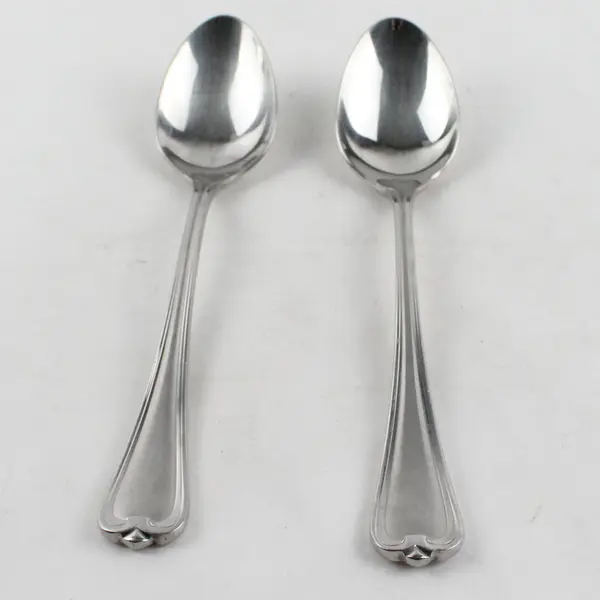 Lot of 2 Cambridge Silver Chatham Soup Spoons Stainless Steel Satin Handle