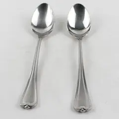 Lot of 2 Cambridge Silver Chatham Soup Spoons Stainless Steel Satin Handle