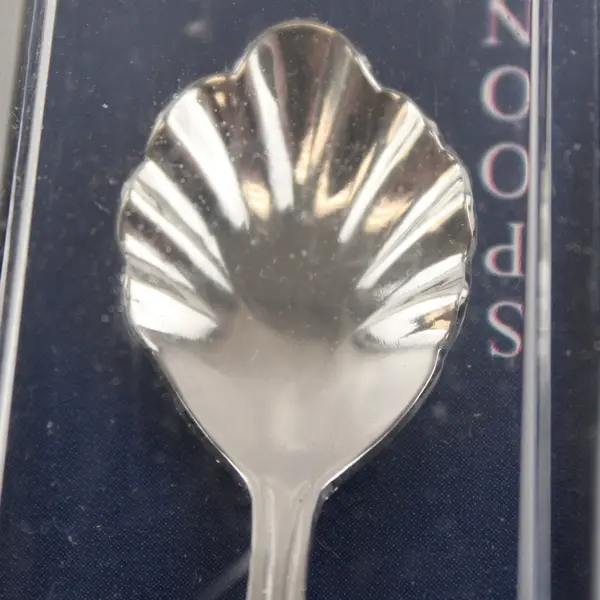 Colorado Souvenir Spoon Collectible 5in