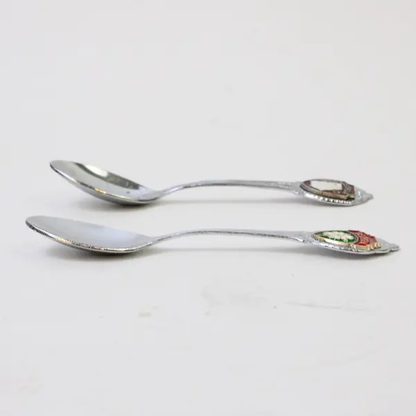 Lot of 2 Georgia Souvenir Spoons - State Outline & Magnolia Enamel