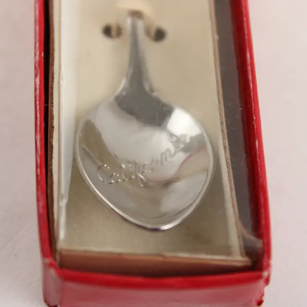 Lot of 2 California Souvenir Spoons - Palm Springs Enamel & Bear
