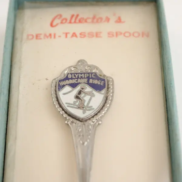 Lot of 2 Washington Souvenir Spoons Leavenworth & Hurricane Ridge Enamel