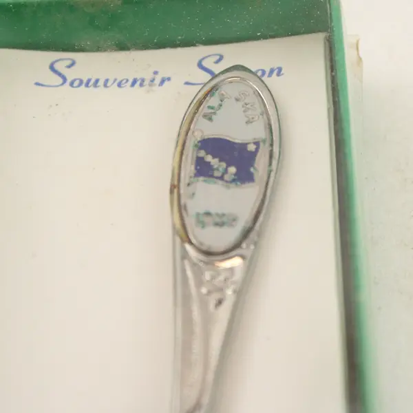 Lot of 2 Alaska Souvenir Spoons Enamel State Outline Bird Charm