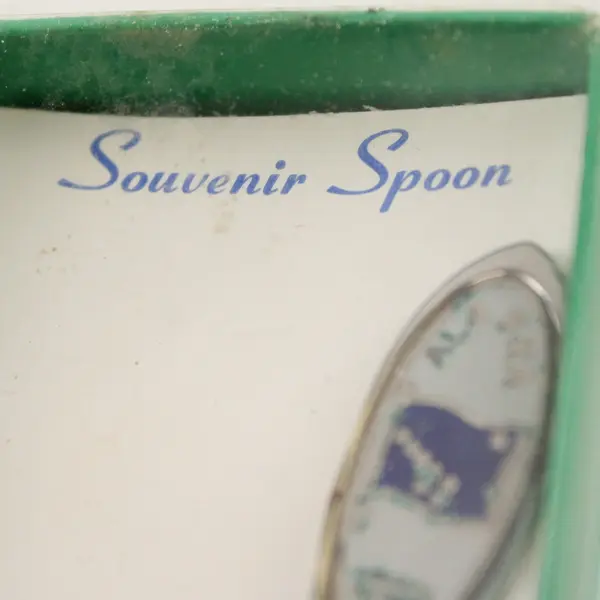 Lot of 2 Alaska Souvenir Spoons Enamel State Outline Bird Charm
