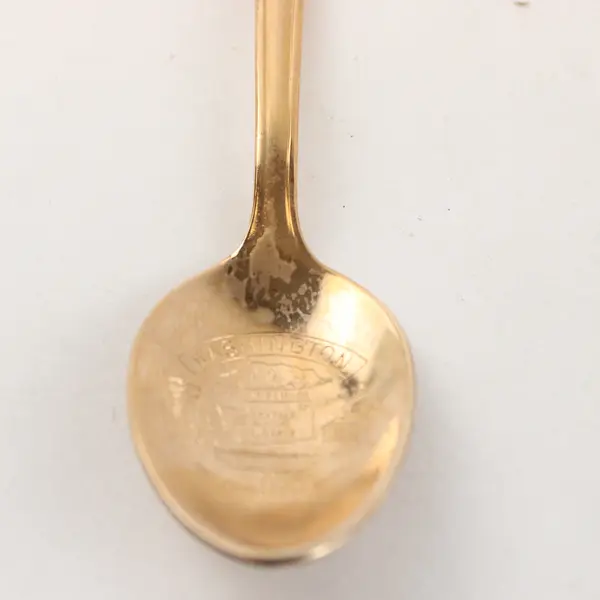 Lot of 2 Washington Souvenir Spoons Seattle King Tut Enamel 4in