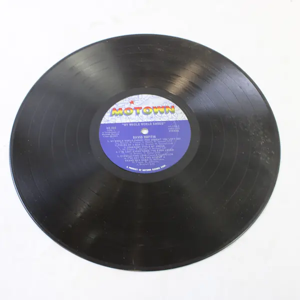 David Ruffin My Whole World Ended 12" Vinyl Records