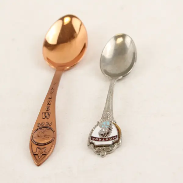 Lot of 2 Vintage Montana Souvenir Spoons 1889 Enamel State Collectible
