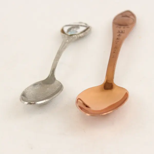 Lot of 2 Vintage Montana Souvenir Spoons 1889 Enamel State Collectible