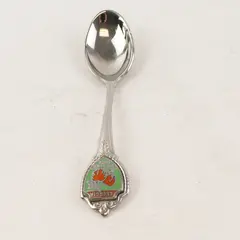 Vintage Georgia The Peach State Souvenir Spoon Collectible