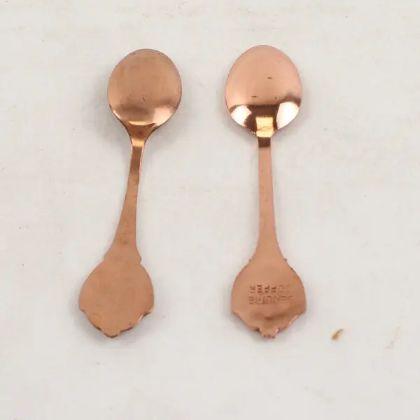 Lot of 2 Vintage Montana Souvenir Enamel Spoons Butte & Big Sky Country