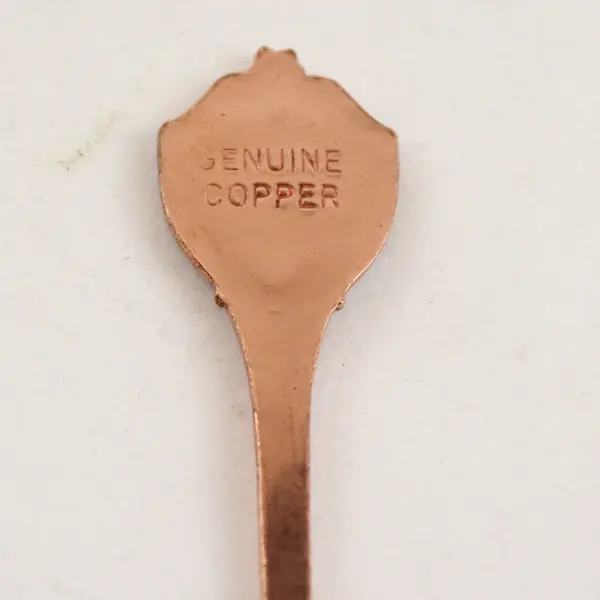 Lot of 2 Vintage Montana Souvenir Enamel Spoons Butte & Big Sky Country