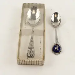 Lot of 2 Wyoming Souvenir Spoons Bucking Bronc & Penguins Little America